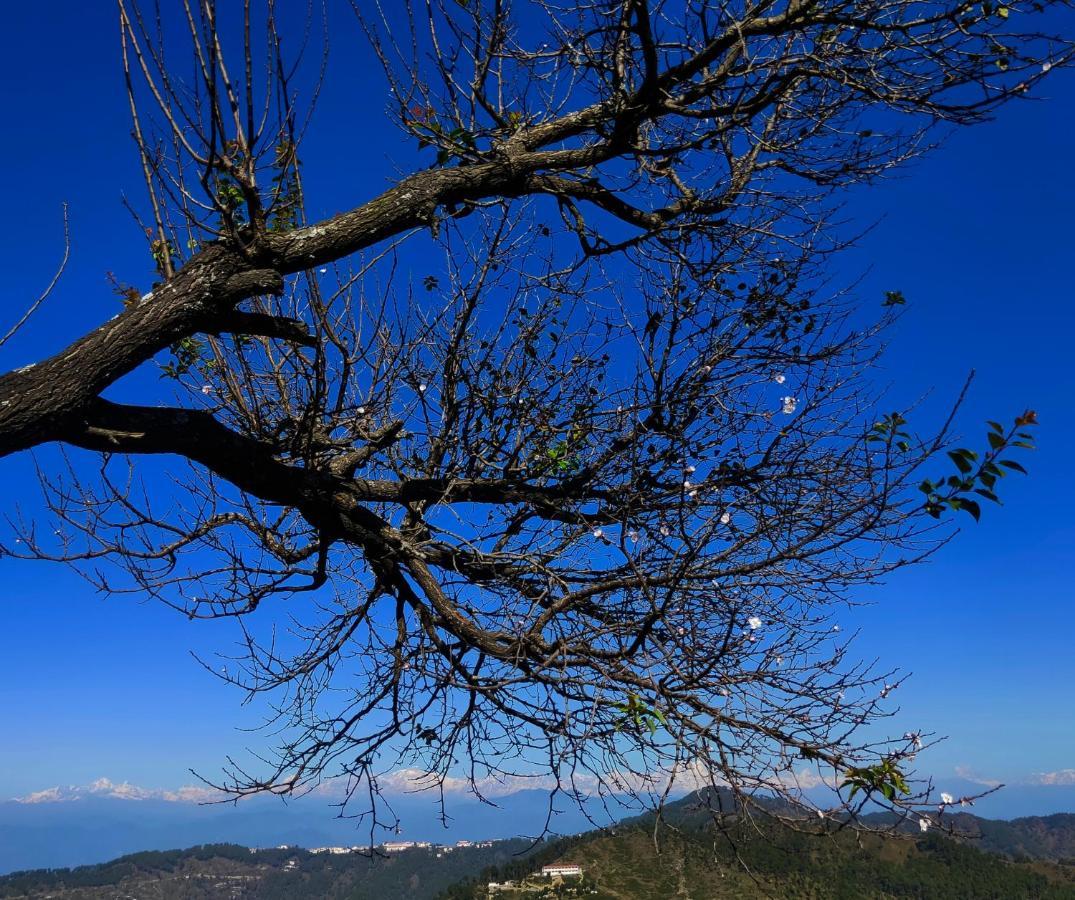 Meraki Huts Pauri Exteriör bild